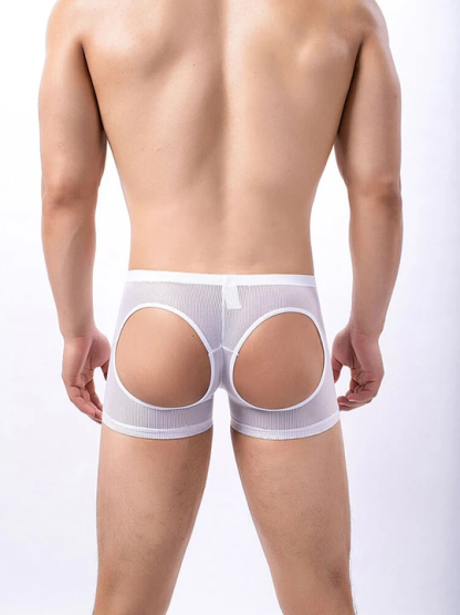 Men's Sexy Mesh Hip Hollow Boxer Briefs