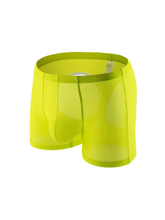 Men's Sexy Mesh Hip Hollow Boxer Briefs