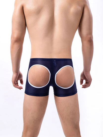 Men's Sexy Mesh Hip Hollow Boxer Briefs