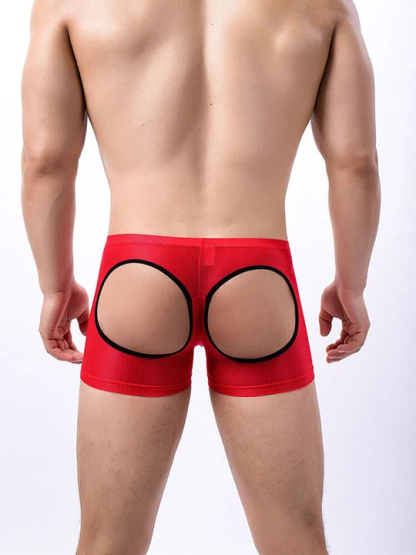 Men's Sexy Mesh Hip Hollow Boxer Briefs