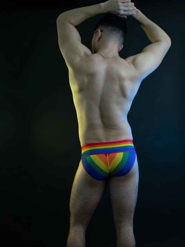 Men's Rainbow Briefs