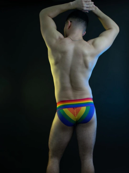 Men's Rainbow Briefs