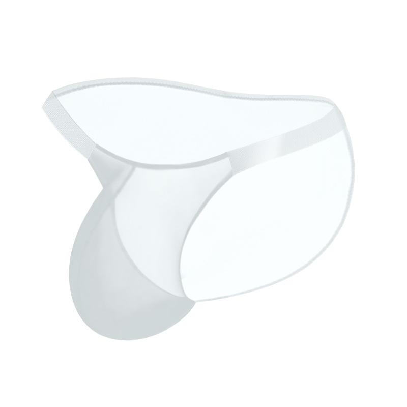 Sexy High-Cut Transparent  Briefs