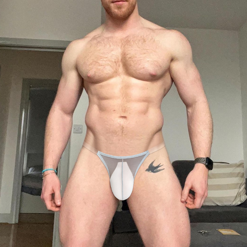 Sexy High-Cut Transparent  Briefs