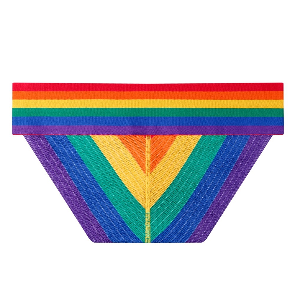 Men's Rainbow Briefs