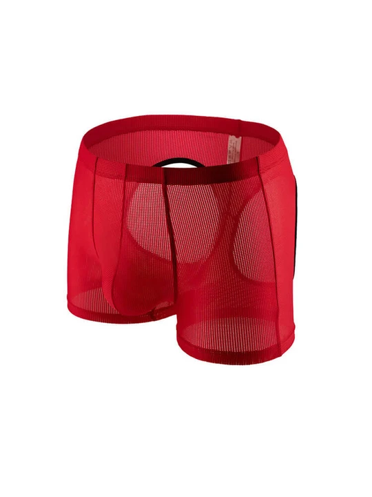 Men's Sexy Mesh Hip Hollow Boxer Briefs