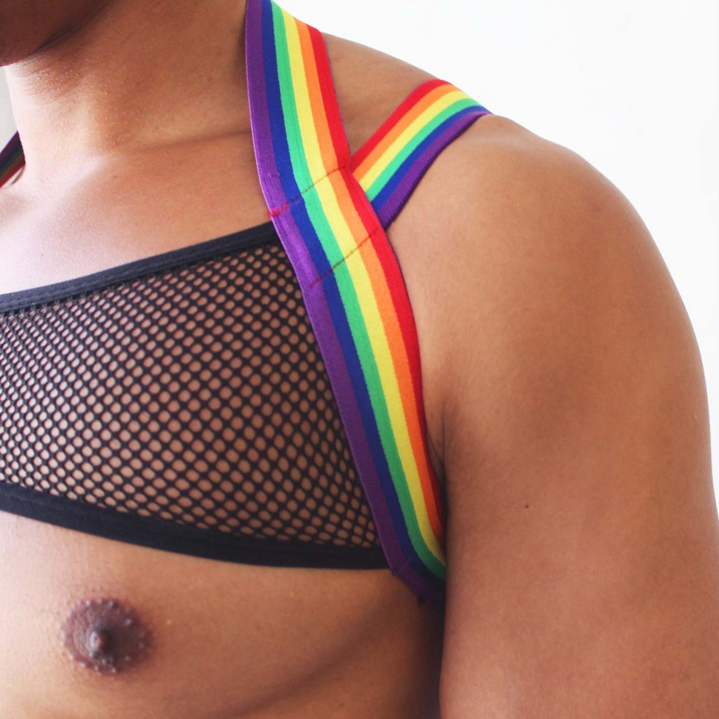 Rainbow Mesh Harness + Briefs