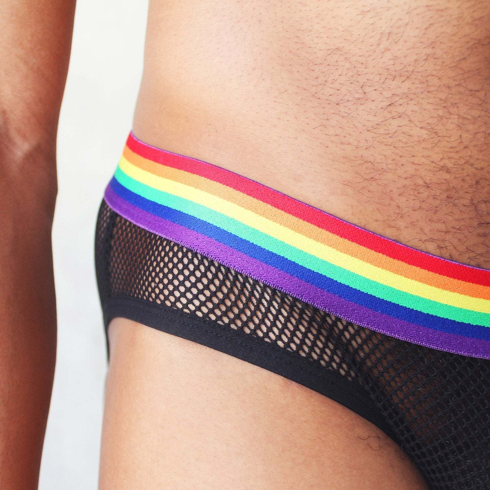 Rainbow Mesh Harness + Briefs