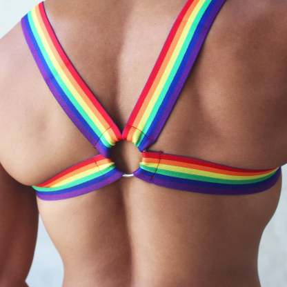 Rainbow Mesh Harness + Briefs