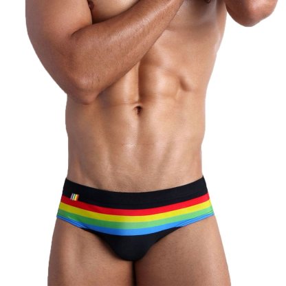 Ringaround Rainbow Swim Briefs
