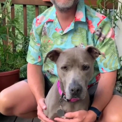 Custom Cat Face Men's Pet Face Flower Hawaiian Shirt Beach Shirt Holiday Gift For Men, For Pet Lover