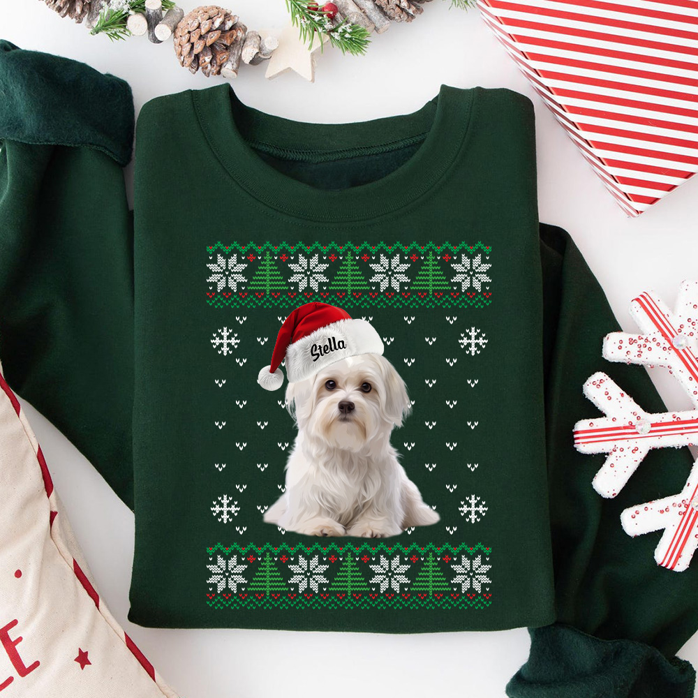 Custom Pet Christmas Ugly Sweater, Custom Dog Name HoodieShirt/Crewneck/Hoodie
