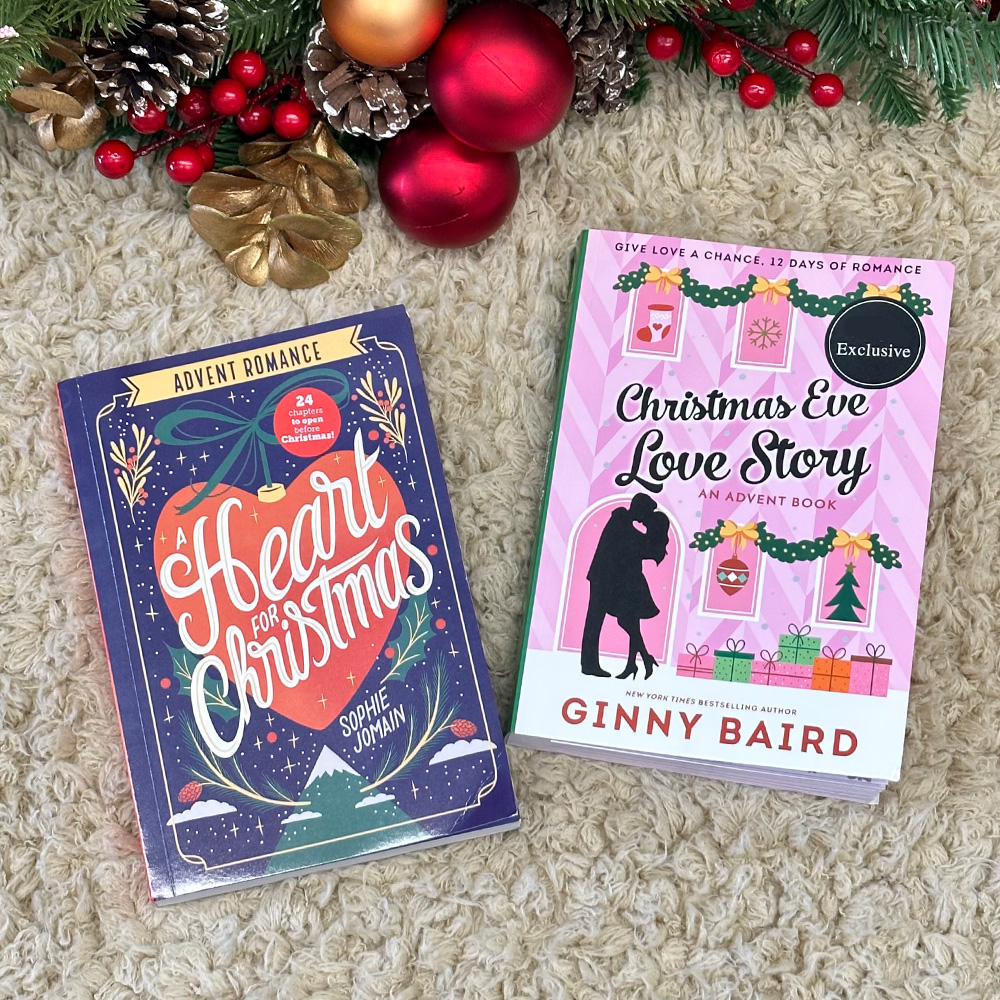 Blind Date with 2025 Christmas Advent Books For Book Lovers