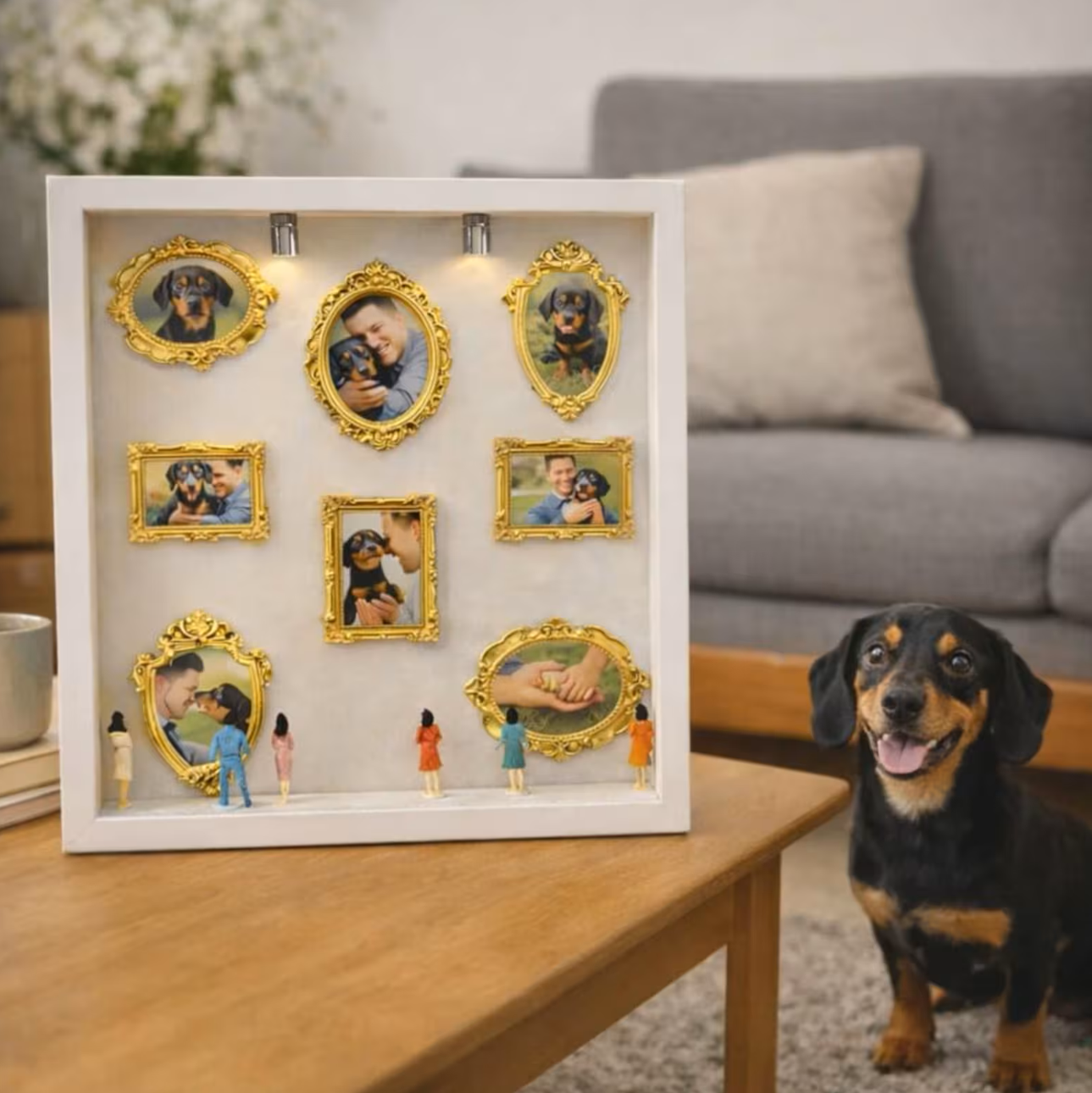 Custom Mini Museum of Pet Shadow Box Meaningful Gift