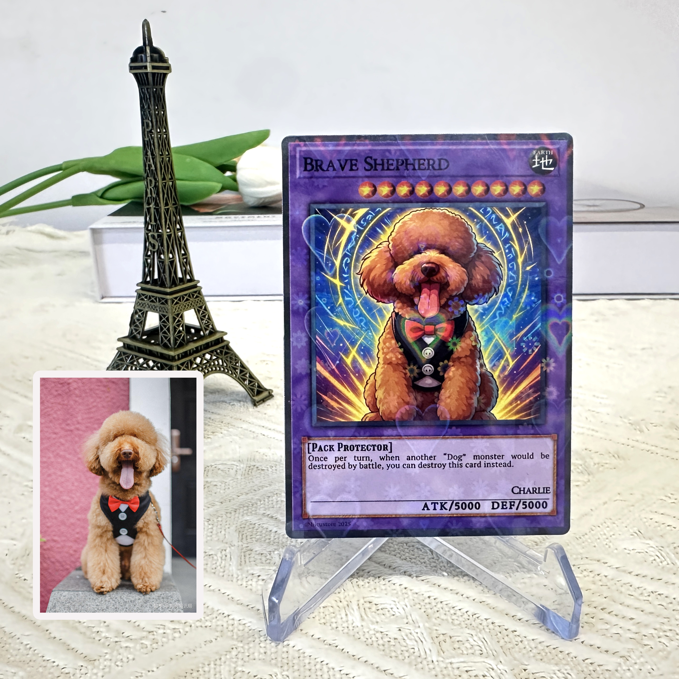 Custom Anime Pet YGO TCG