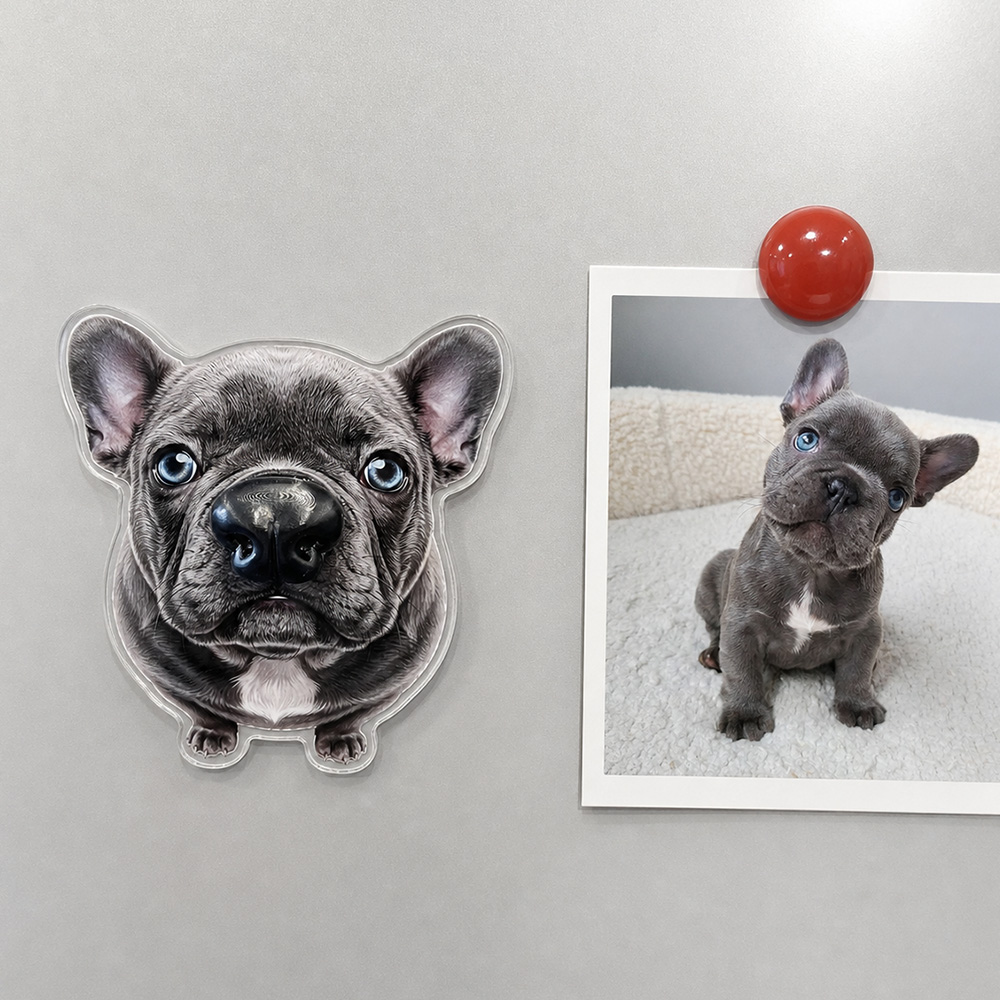 Custom Photo Funny Dog Cat Pet Nose - Custom Squishy Acrylic Fridge Magnet