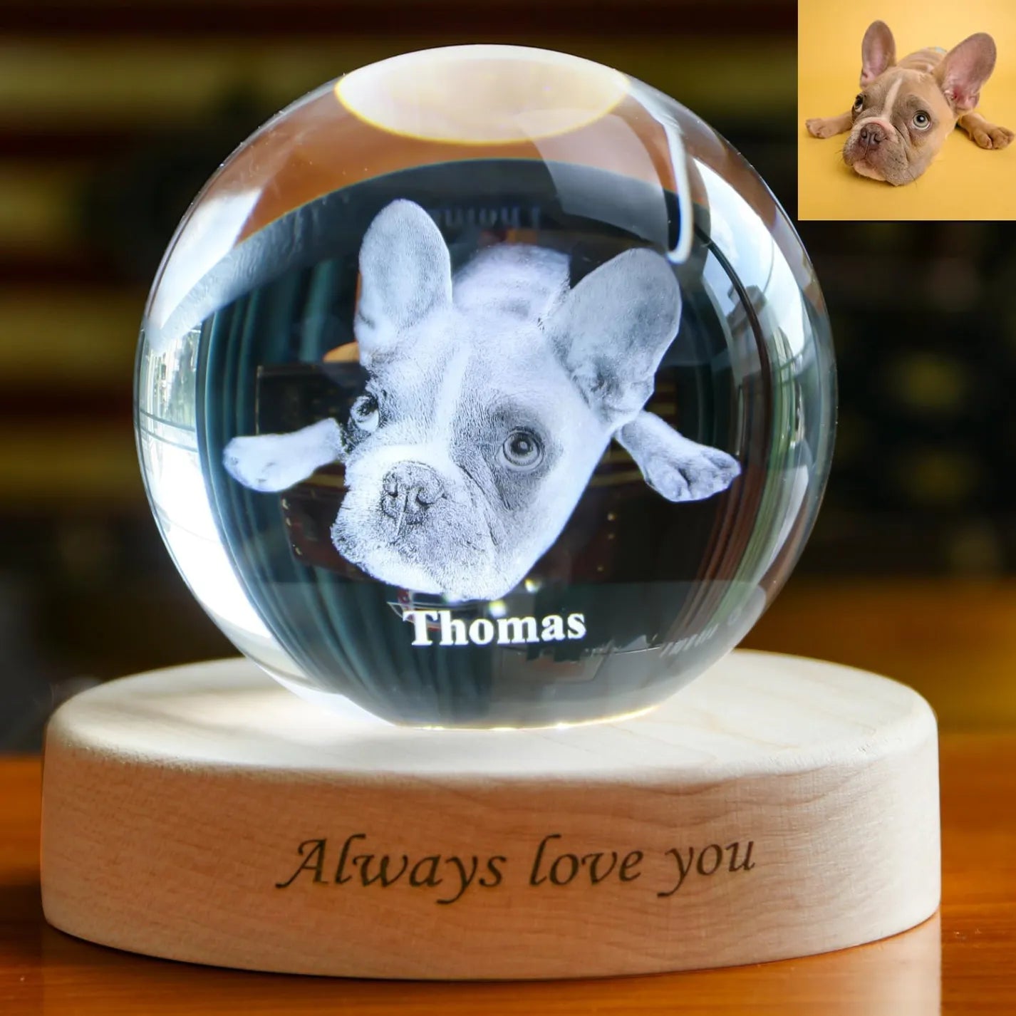 50%OFF ⭐️Custom 3D Pet Photo Crystal Ball