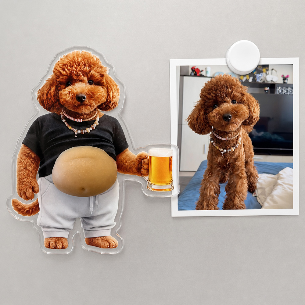Custom Photo Funny Belly Cat Dog Pet Figure - Custom Squishy Acrylic Fridge Magnet