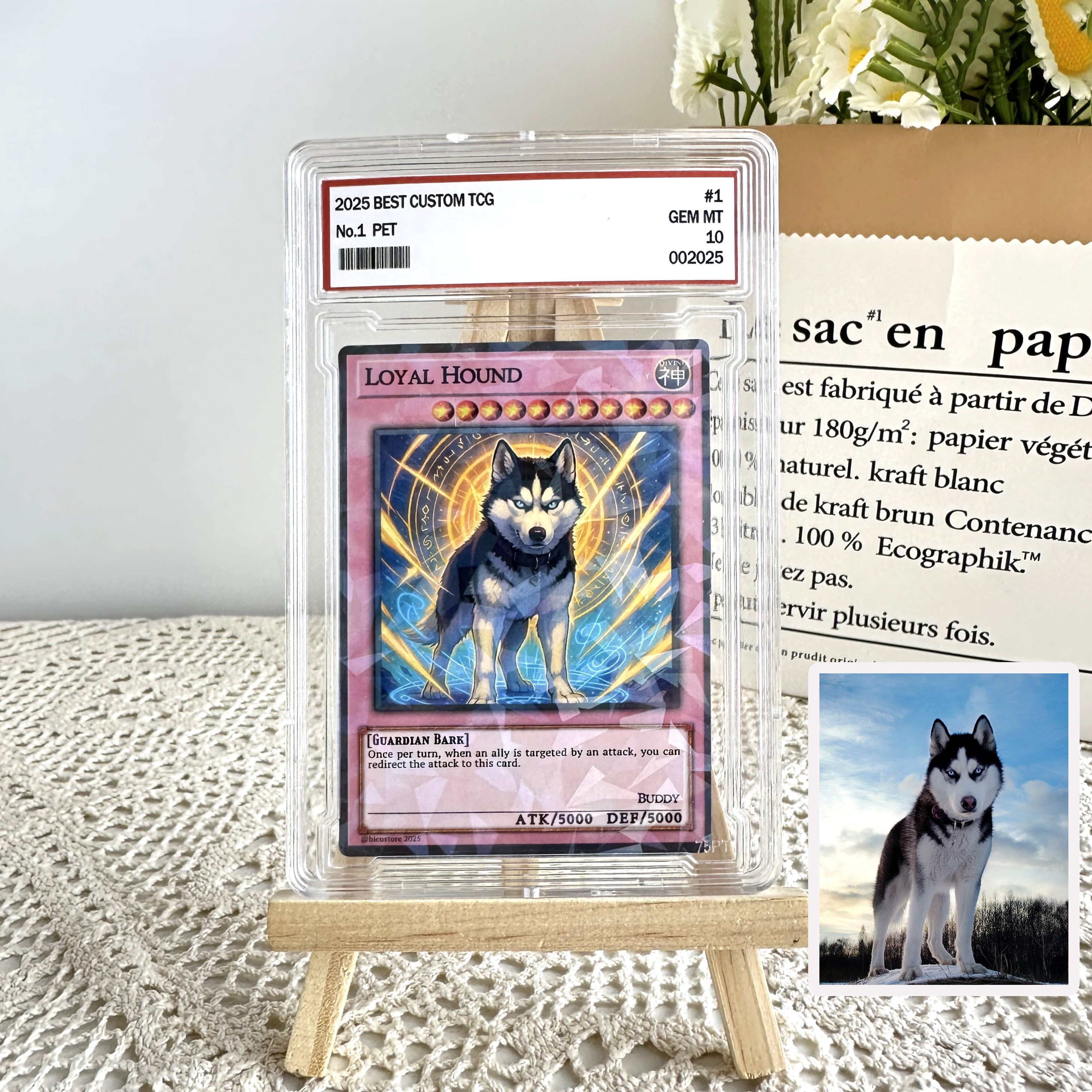 Custom Anime Pet YGO TCG