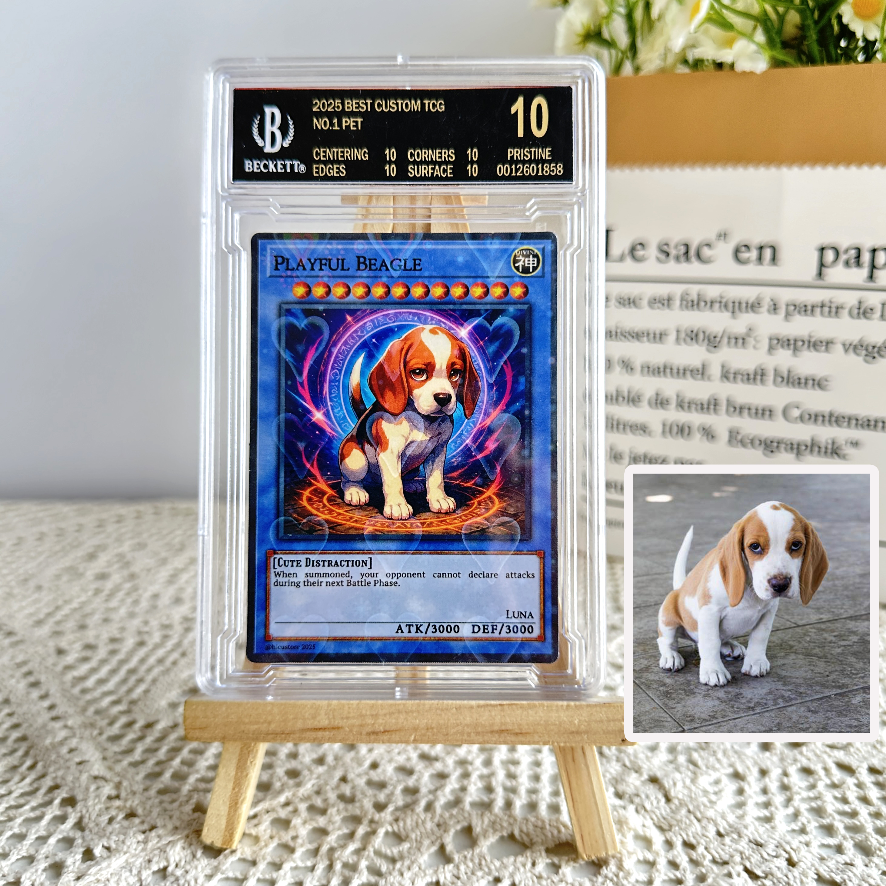 Custom Anime Pet YGO TCG