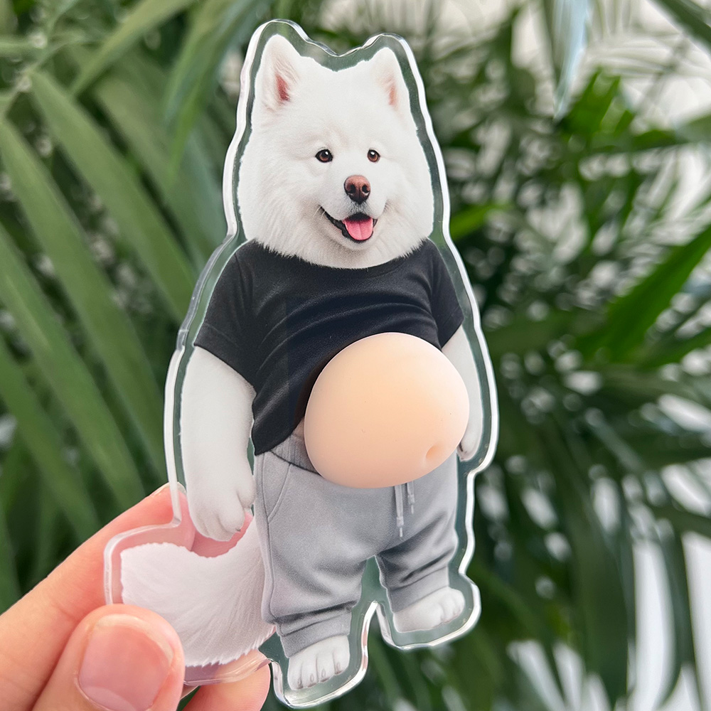 Custom Photo Funny Belly Cat Dog Pet Figure - Custom Squishy Acrylic Fridge Magnet