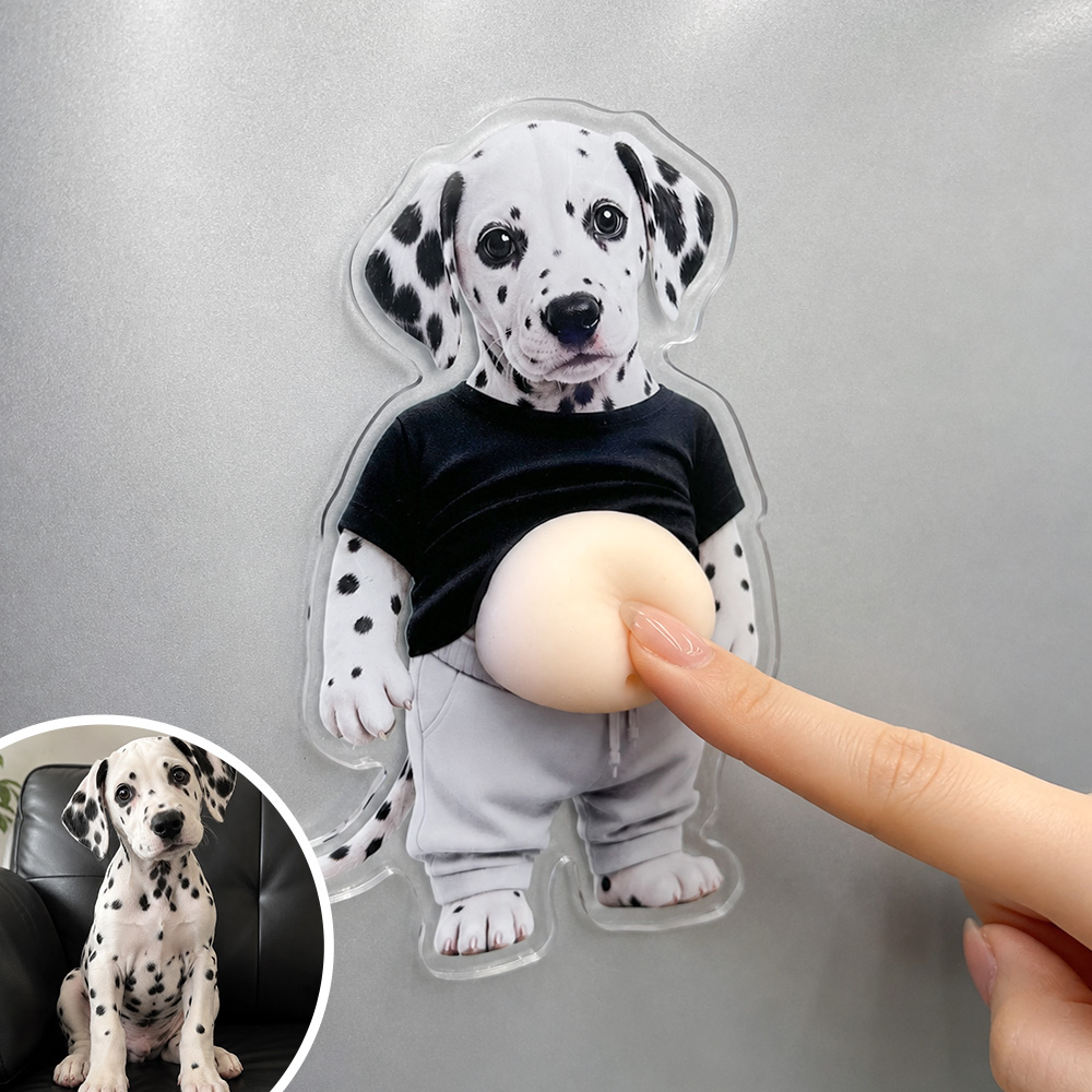 Custom Photo Funny Belly Cat Dog Pet Figure - Custom Squishy Acrylic Fridge Magnet