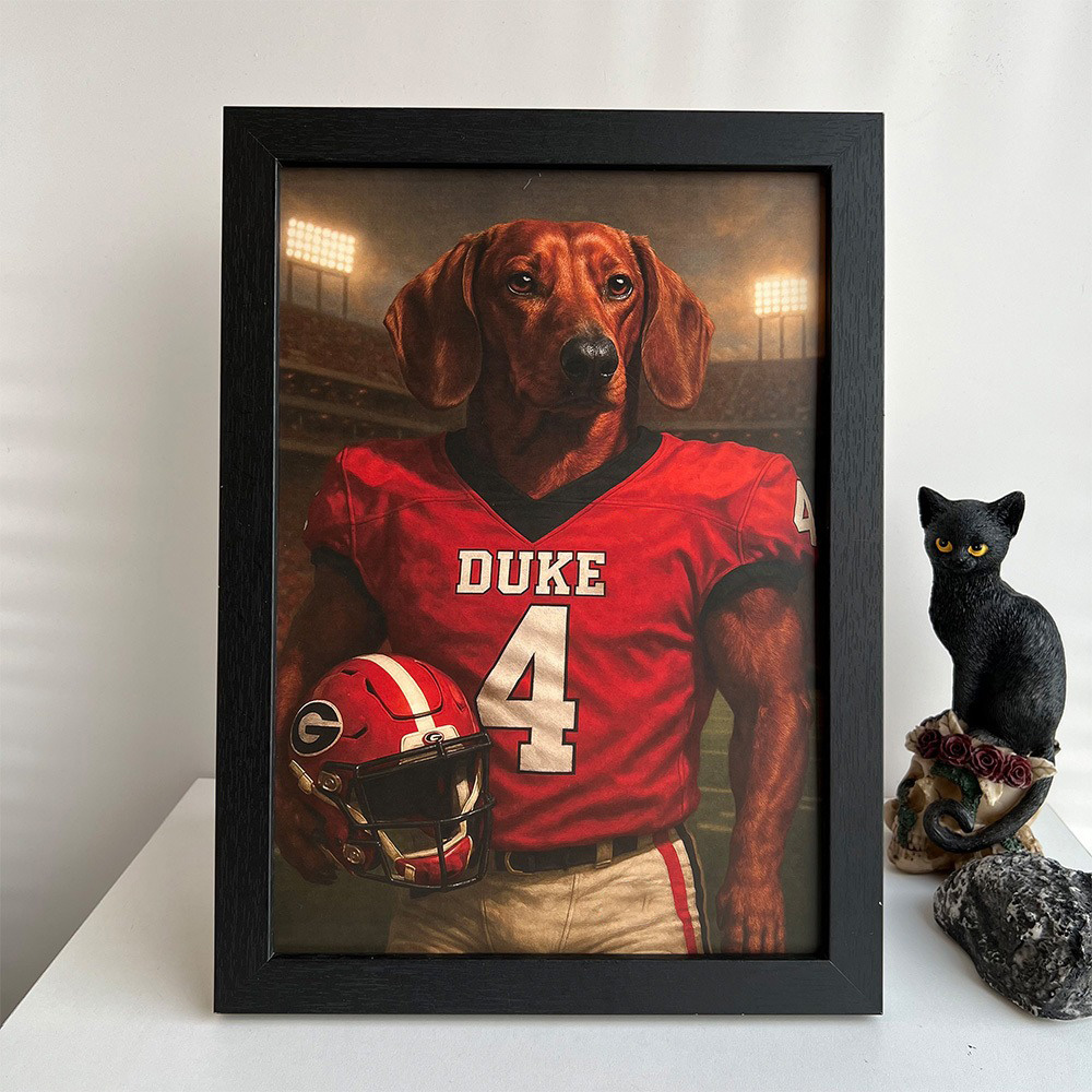 🏈Custom Pet Portrait American Football Wall Art American Football