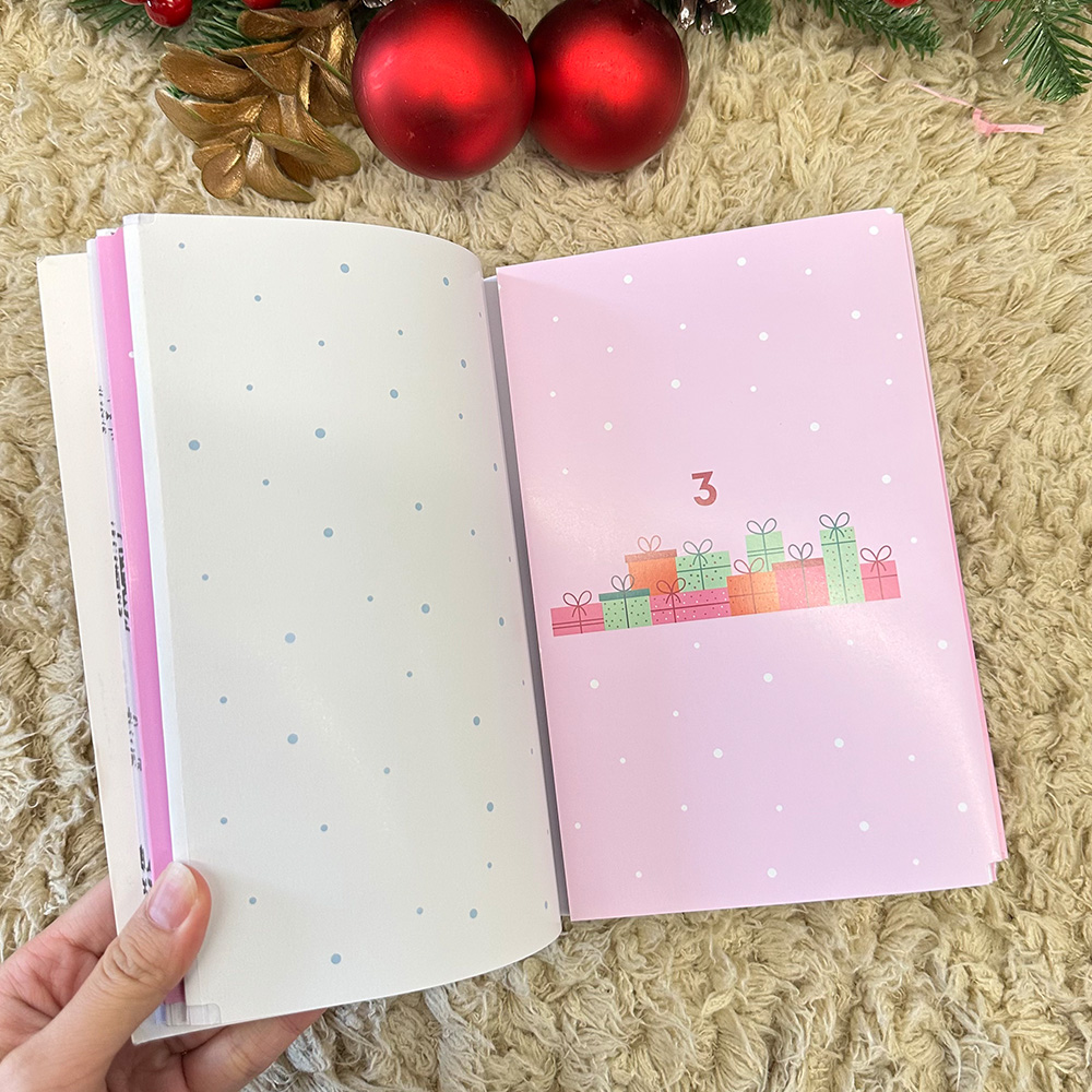 Blind Date with 2025 Christmas Advent Books For Book Lovers