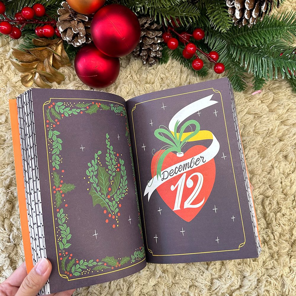 Blind Date with 2025 Christmas Advent Books For Book Lovers