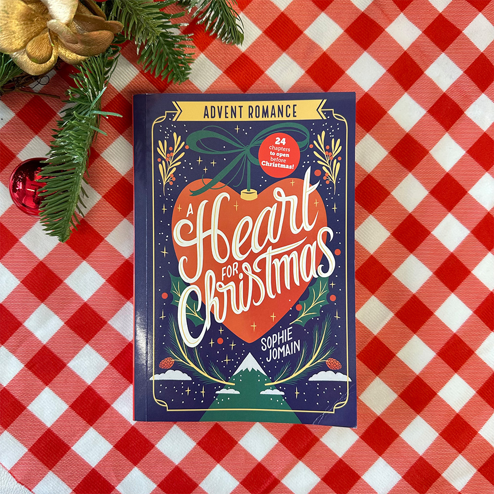 Blind Date with 2025 Christmas Advent Books For Book Lovers