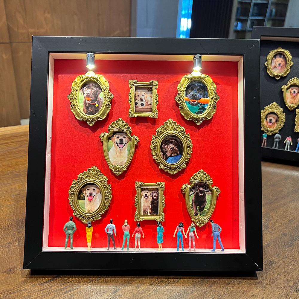 Custom Mini Museum of Pet Shadow Box Meaningful Gift