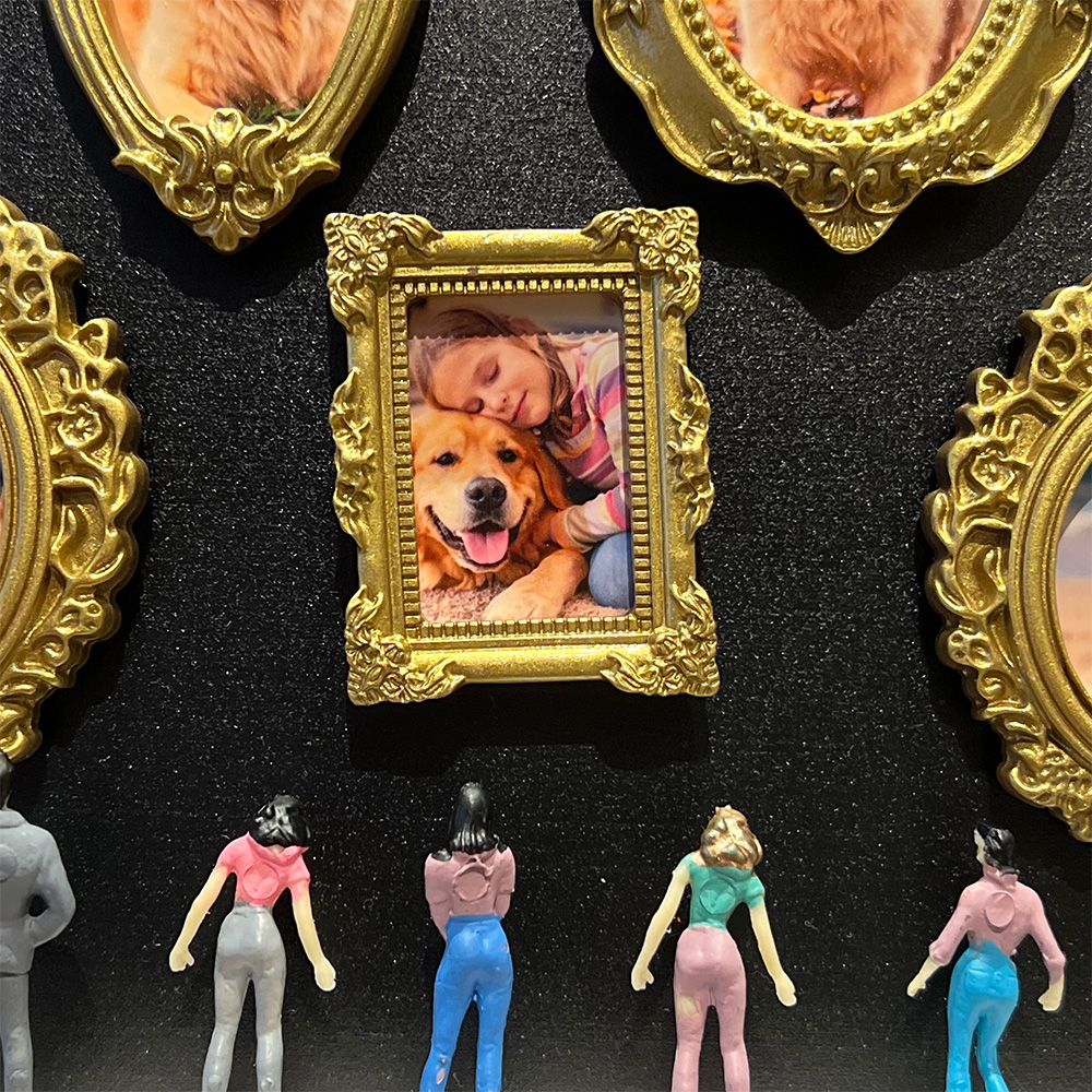 Custom Mini Museum of Pet Shadow Box Meaningful Gift