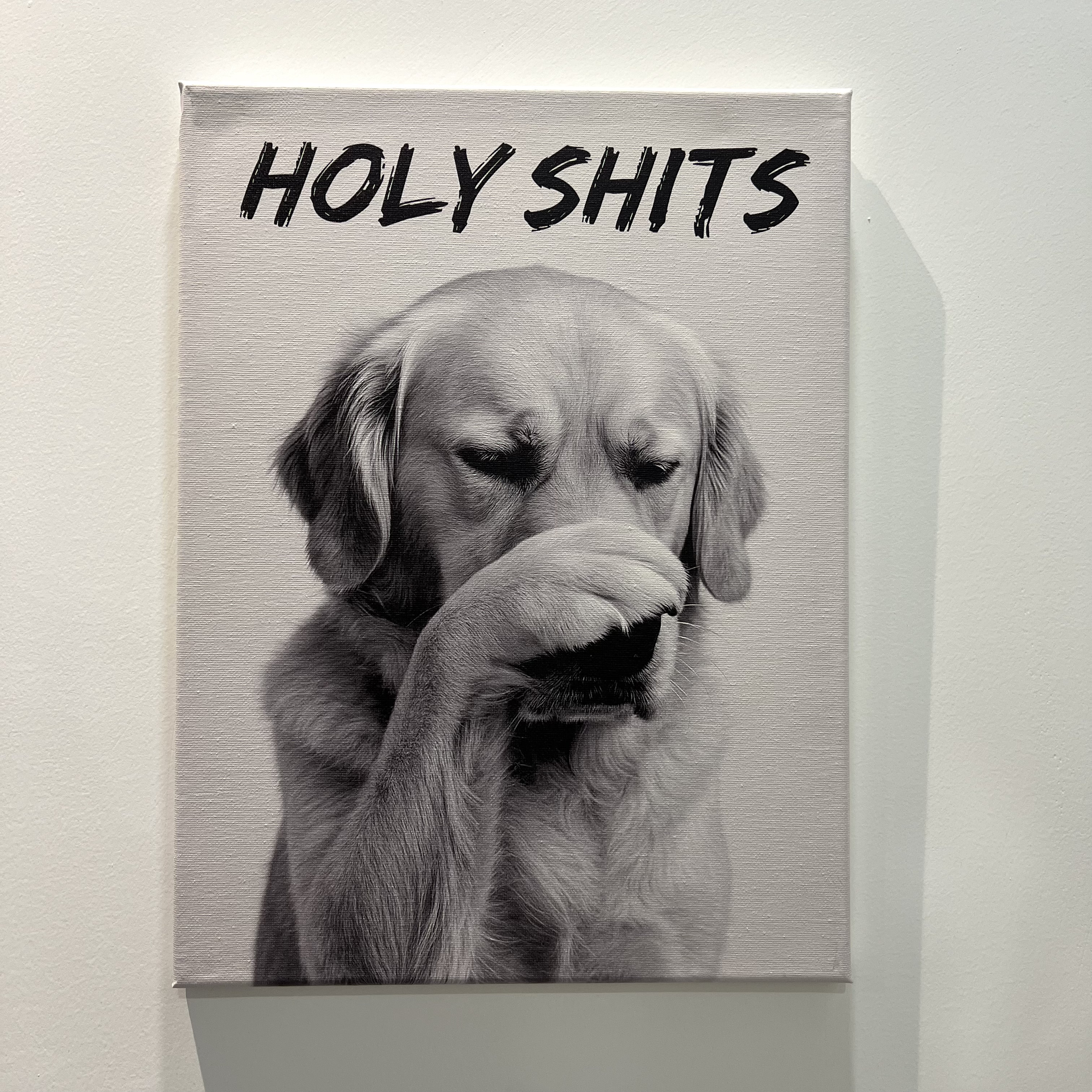 50%OFF⭐️Custom Funny Pet Bathroom Wall Art