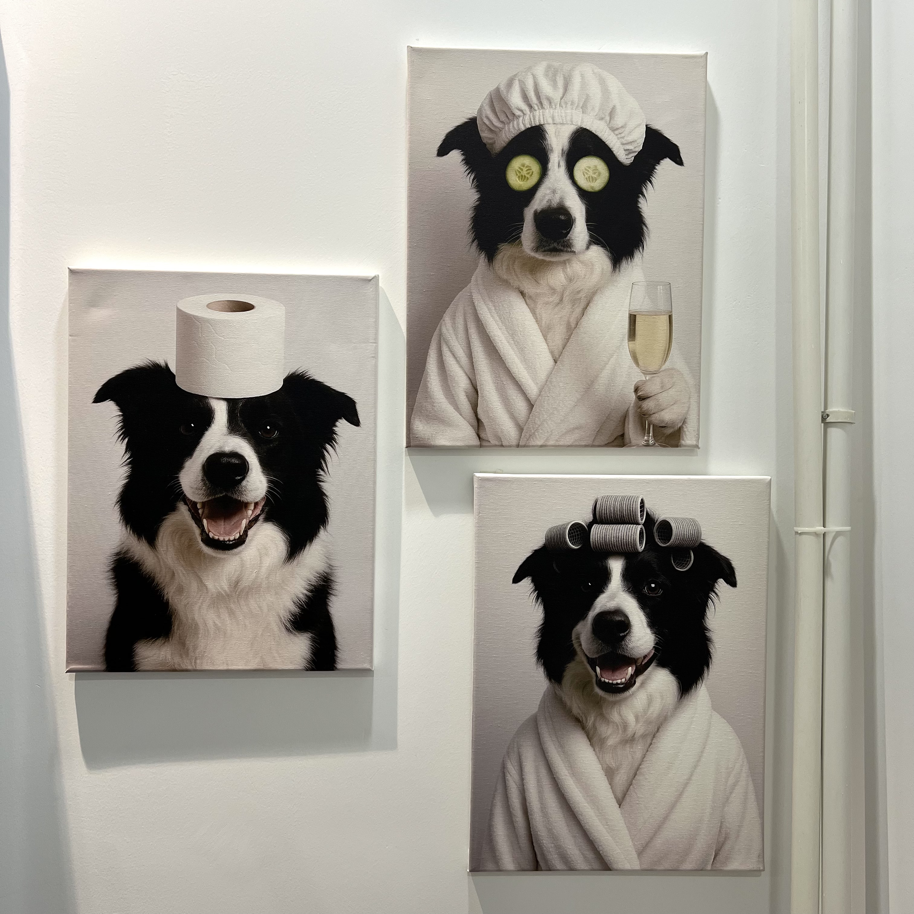 50%OFF⭐️Custom Funny Pet Bathroom Wall Art
