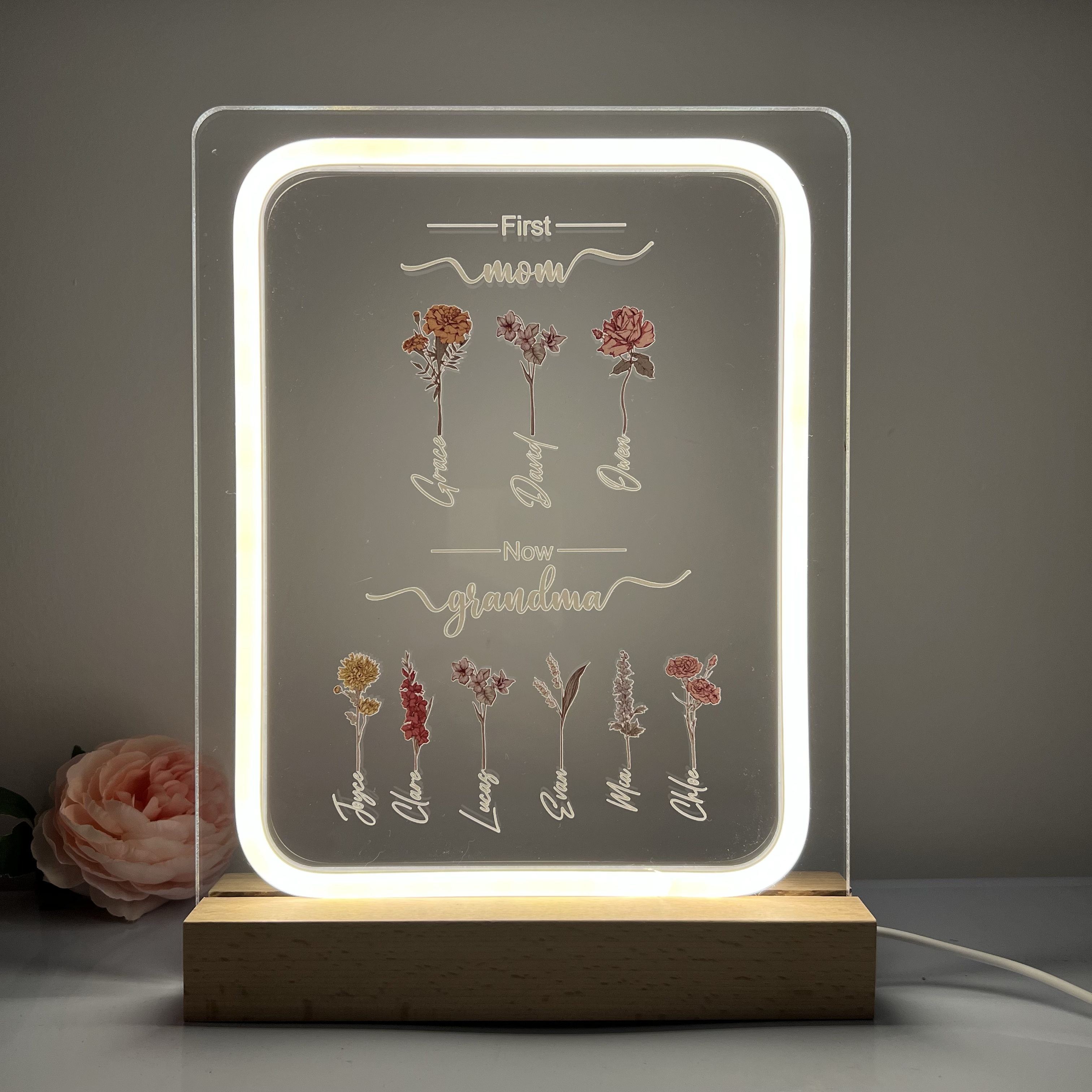 Personalized Birth Month Flowers First Mom Now Grandma Night Light Gift