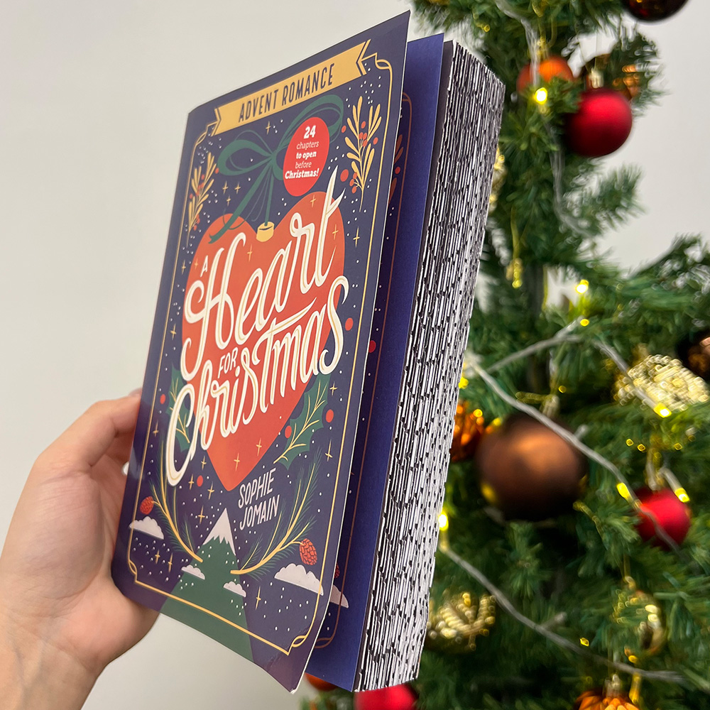 Blind Date with 2025 Christmas Advent Books For Book Lovers