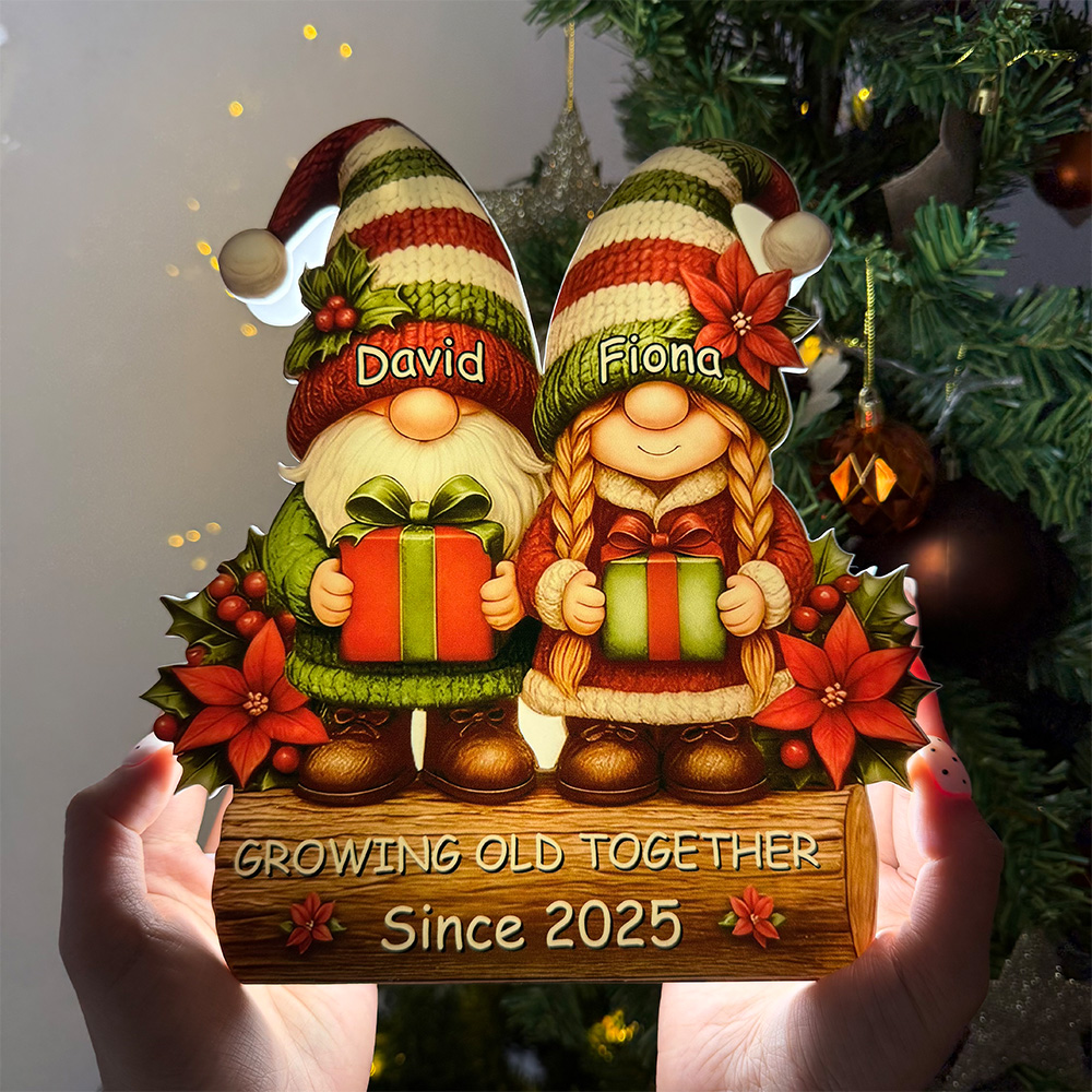 Custom Christmas Gnome Couple Growing Old Together Acrylic LED Light Box