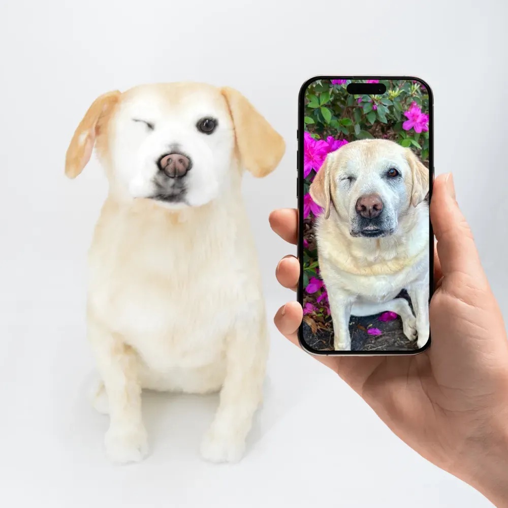 Handmade Custom Stuffed Animals of Your Baby Pet