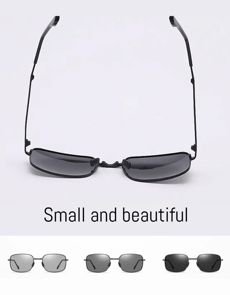 Polarized Sunglasses