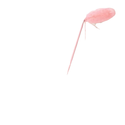 Home Dusting Duster