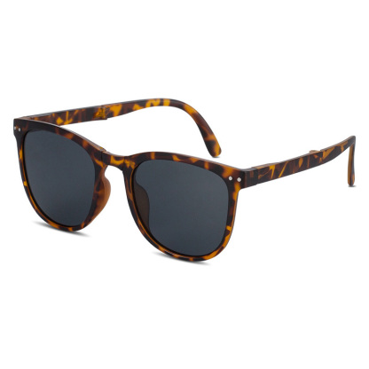 Ultra-Light Foldable Sunglasses
