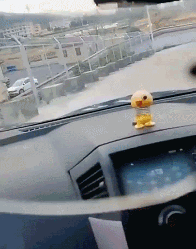 视频 (1).gif