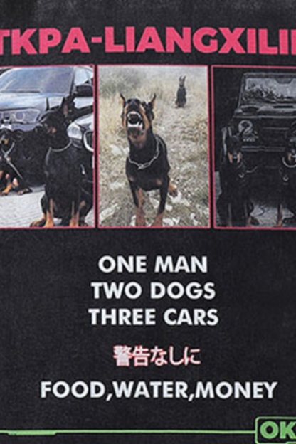 Dog Vacation Street Sweatshirt For Men