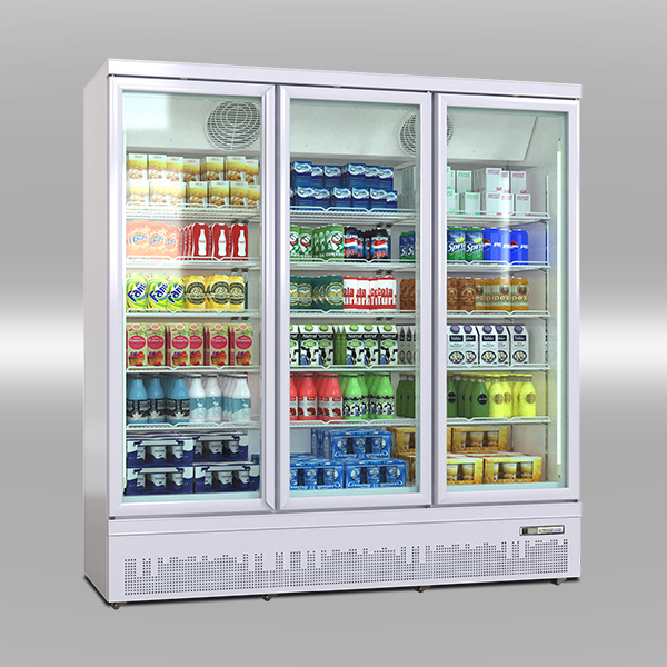 Luxury bottom mount showcase cooler