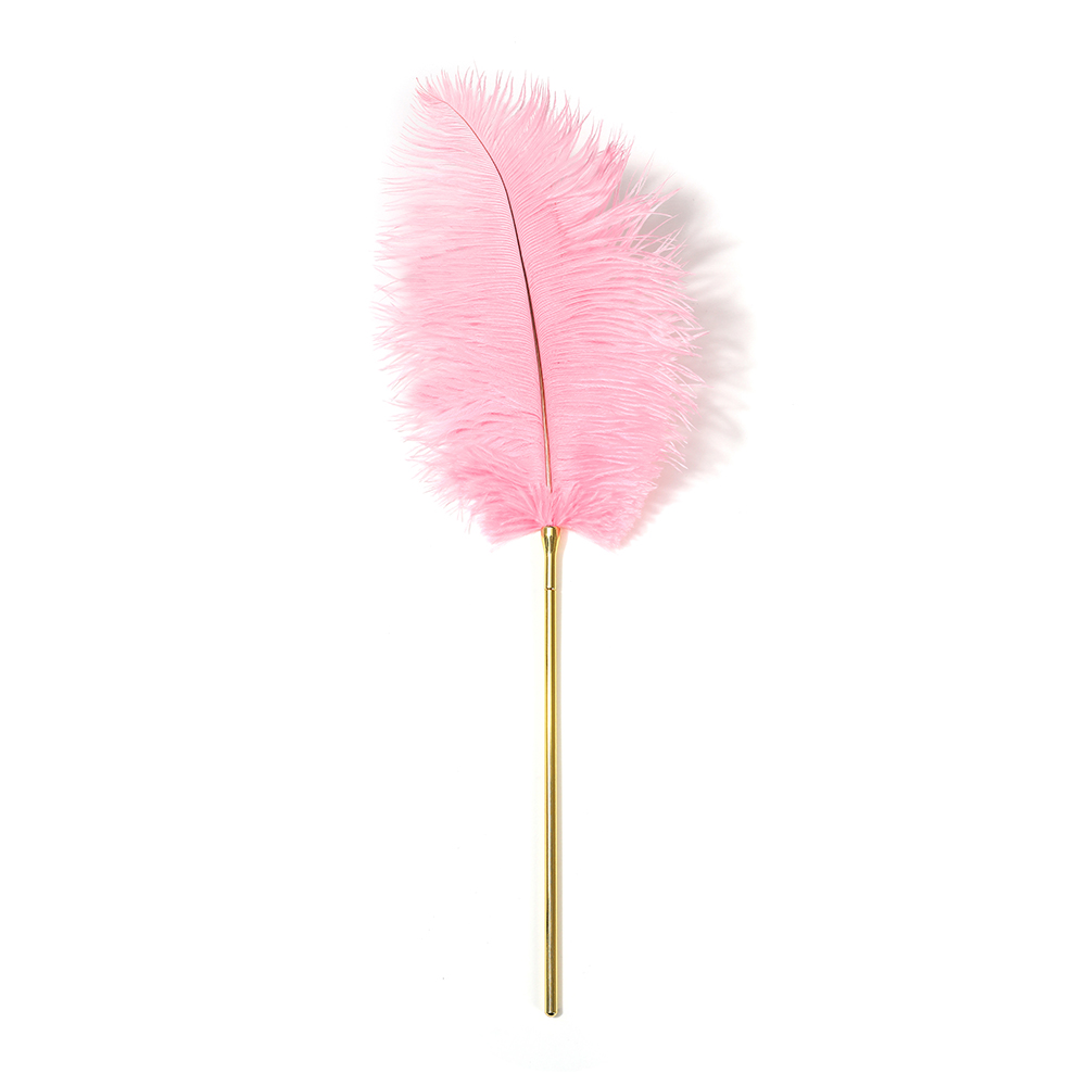 Pink Chicken Feathers Removable Adult Artificial Feathers Luxury Couple Sensual Games Suitable for Spanking Adult French Tease Crop for BDSM Role Play SM Couple Bondage Accessories