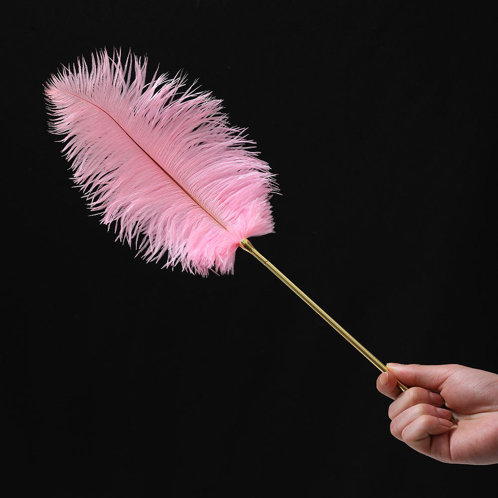 Pink Chicken Feathers Removable Adult Artificial Feathers Luxury Couple Sensual Games Suitable for Spanking Adult French Tease Crop for BDSM Role Play SM Couple Bondage Accessories