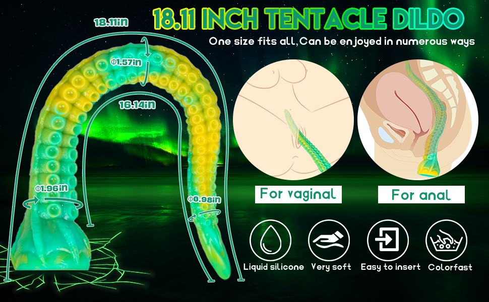Anal sex toys