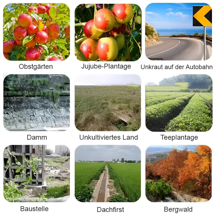 【Vom Ministerium für Landwirtschaft, Forsten und Fischerei eingeführtes Produkt】Einmalige Anwendung – ein Jahr lang kein neues Unkraut, dauerhaft wirksam!
