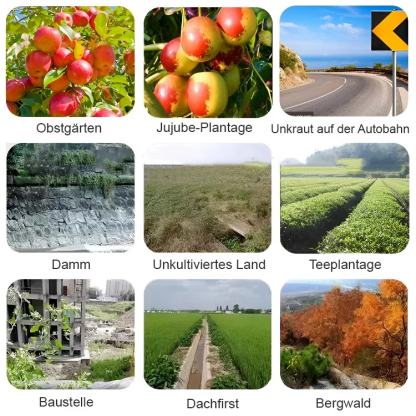 【Vom Ministerium für Landwirtschaft, Forsten und Fischerei eingeführtes Produkt】Einmalige Anwendung – ein Jahr lang kein neues Unkraut, dauerhaft wirksam!