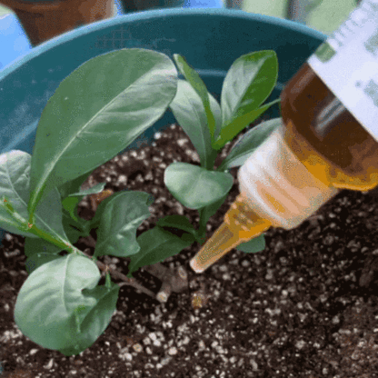Es wurde in Japan entwickelt und mit dem deutschen Blauen Engel zertifiziert. Es stärkt die Abwehrkräfte der Pflanzen, erhöht den Chlorophyllgehalt, fördert das Wurzelwachstum und stellt innerhalb von drei Tagen die Vitalität der Pflanzen wieder her.